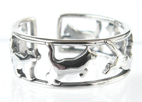 cat-ring2.jpg