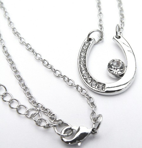 horseshoe-necklace2.jpg